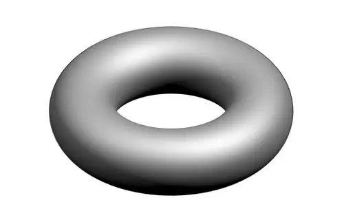 Graue, ringförmige Dichtung aus elastischem Material, möglicherweise ein O-Ring von Bosch, mit einer zentralen Öffnung in der Mitte.